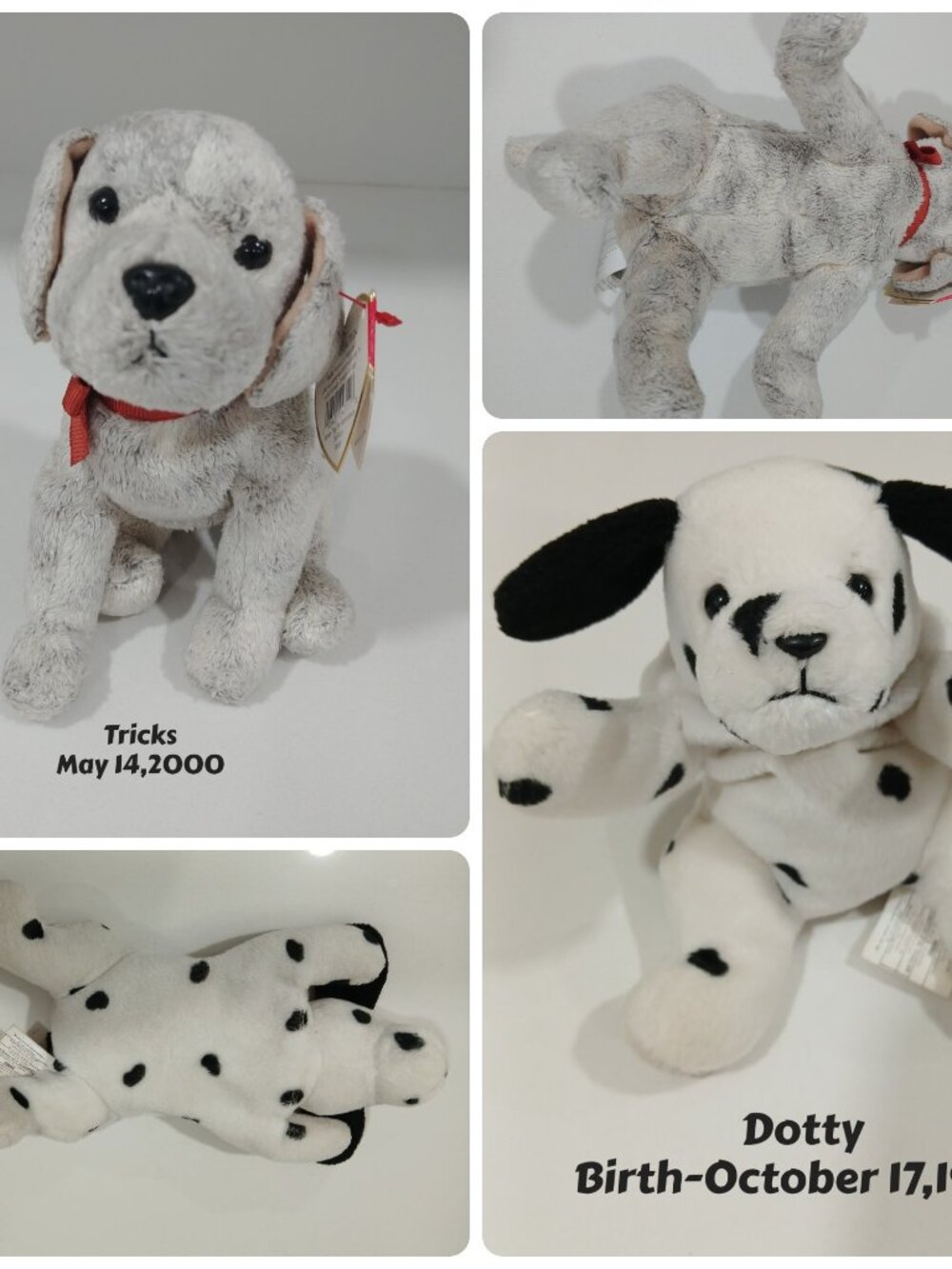 Ty Tricks & Dotty Beany Babies With Birth Tags Like New,